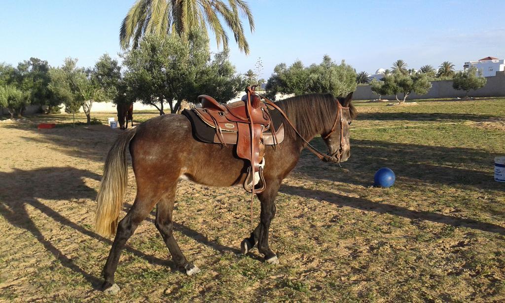 Menzel Churasco Djerba Aghir Luaran gambar