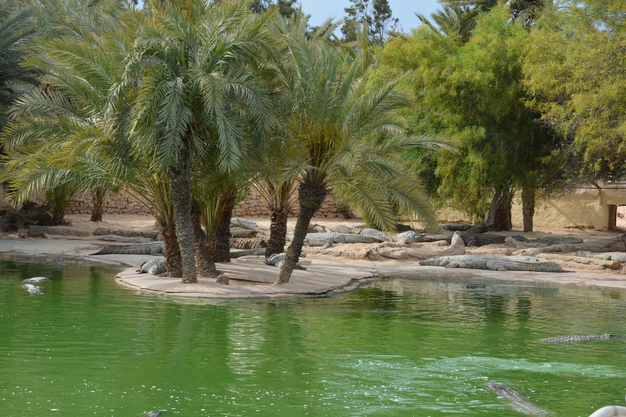 Menzel Churasco Djerba Aghir Luaran gambar